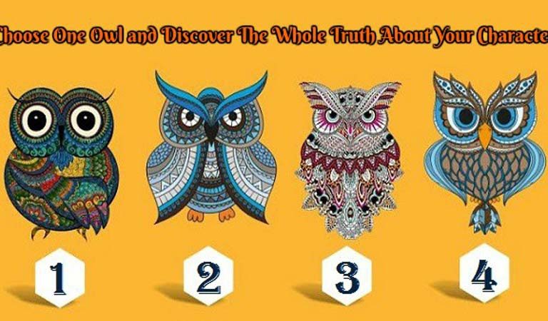 TEST: Discover the Whole Truth About Your Character From These Four Lovely Owls!