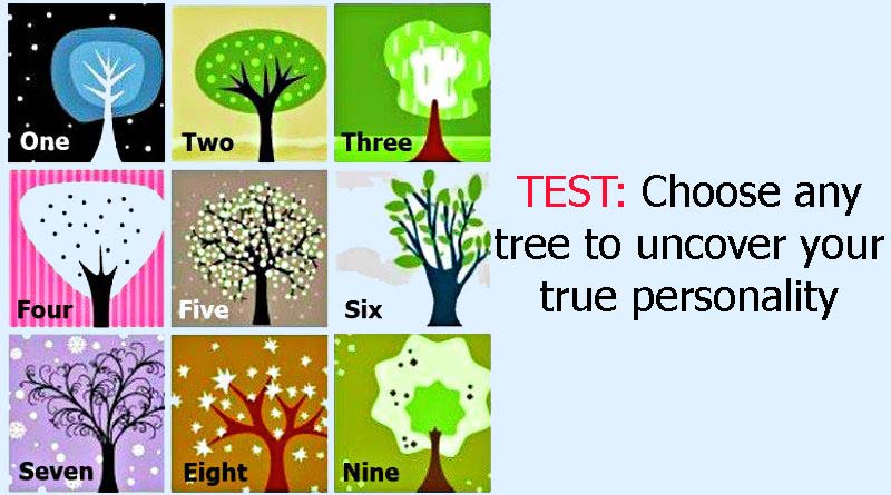 Test choose. Тест личности деревья. Выбери свое дерево. Тест личности выбери дерево. Тест личности по картинкам деревьев.